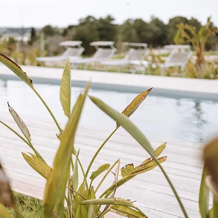בית חווה Agriresort Murciano