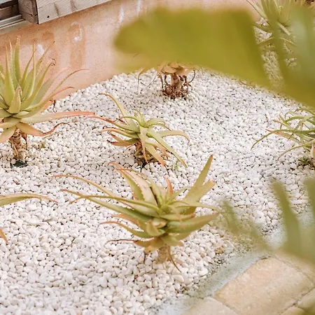 Agriresort Murciano * Otrante